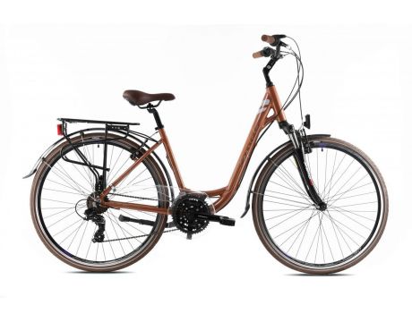 Elegance Lady   28"X18"  Bronzový, 2023