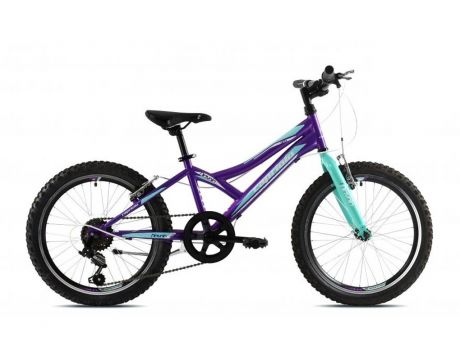 Diavolo 200  20"X11"  Fialovo-Tirkiz, 2023