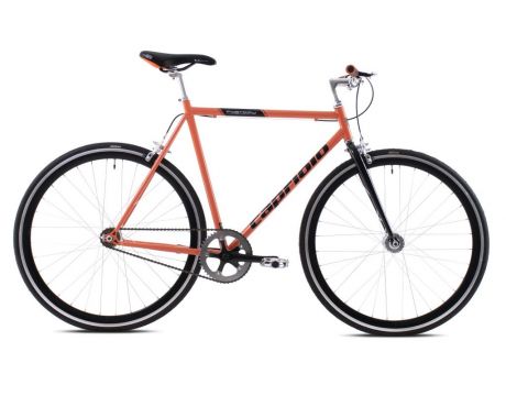 Fastboy 700X540 Oranžový, 2023