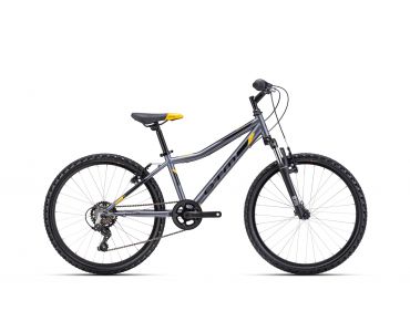 CTM BERRY 2.0 (2024)  2024