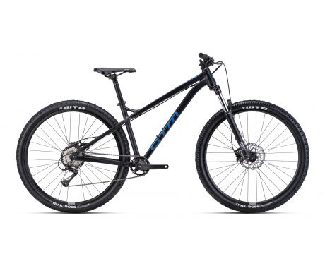 ZEPHYR 29" (2024)