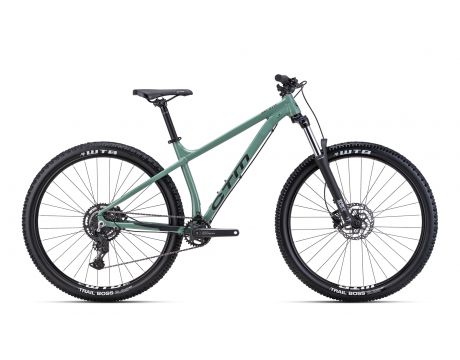 ZEPHYR Comp 29" (2024)