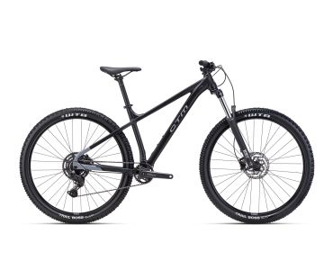 CTM ZEPHYR Comp  2025