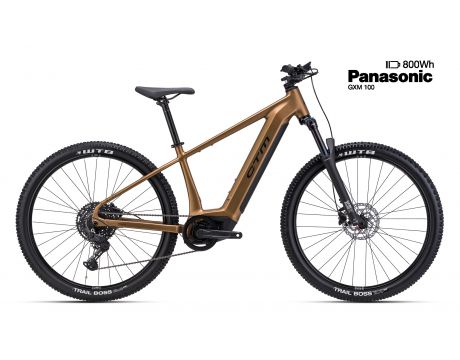 WIRE GX matná zlatá