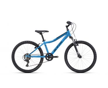 CTM BERRY matná modrá  2026