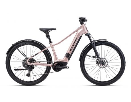 RUBY GX Pro 29" E-Allroad matná staroružová