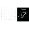 Pulsium 6.0 AXS Gravity Grey