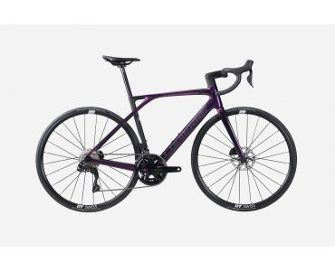 Lapierre Xelius SL 5.0 Di2 Luxy Blackberry 