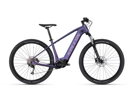 Tayen R10 P Magic Pink 29 725Wh