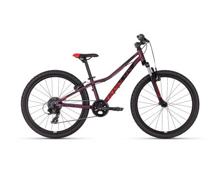 Kiter 50 Dark Plum 11 24 Dark red