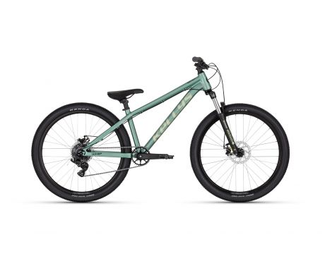 Whip 10 DX Frosted Green 26