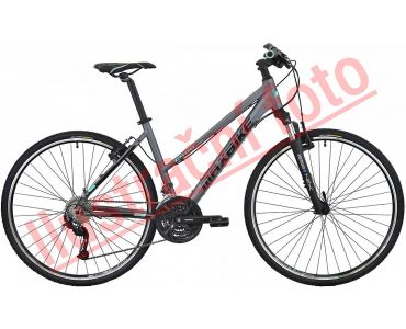 Maxbike ARAS LADY šedý 