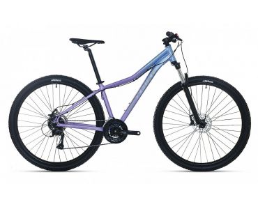 Maxbike TOBA LADY 29 fialová 
