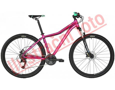 APO LADY 27.5 fialové