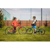 Pells Rocket Lite 20" Blue