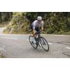 Aspin Disc Smoked Steel