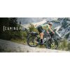 Camino Pro Di2 Khaki