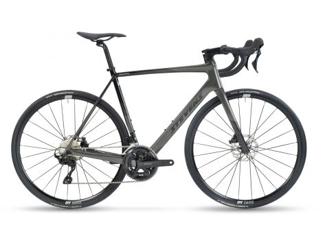 Izoard Golden Grey